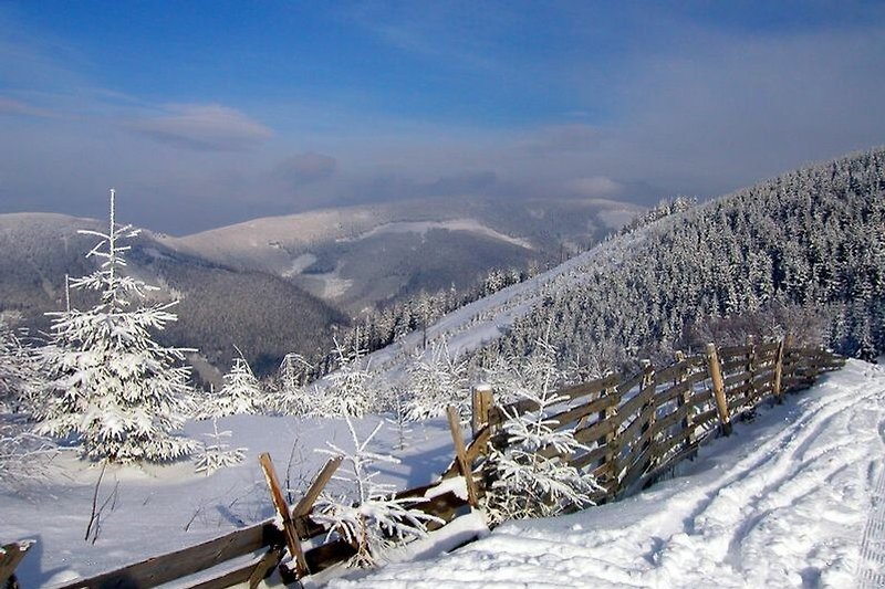 Beeindruckende Berglandschaft mit Schnee, Bäumen und Gletscher.