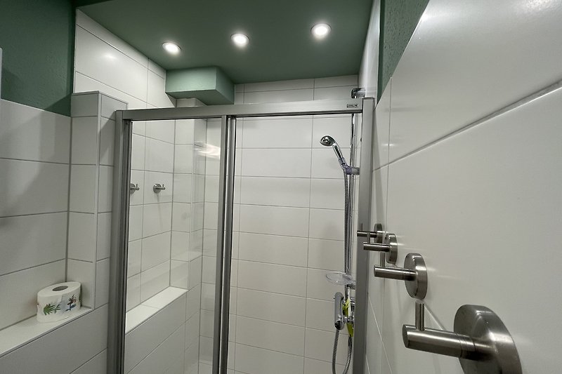 Modernes Badezimmer mit Glasdusche, Armaturen und Aluminiumdetails.