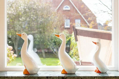 Vakantieappartement Gezinsvakantie Westerland