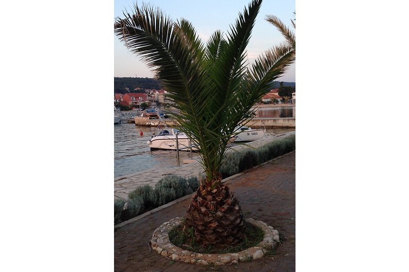 Strandpromenade mit Cafes Shops  Restaurant Eisdiele 20 min entfernt