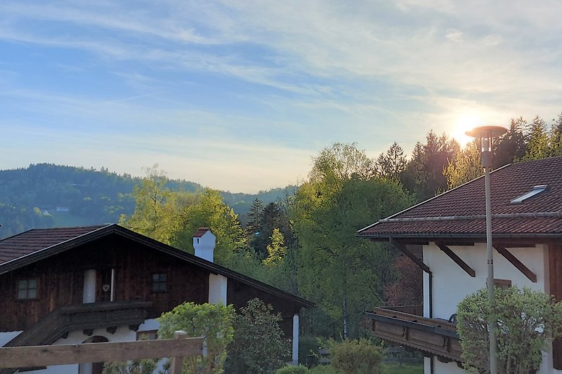 traumhafter Berg- und Waldblick von der Terrasse