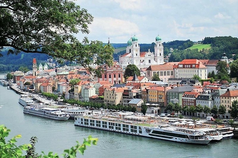 Schifffahrten auf der Donau, beispielsweise zur Schlögener Schlinge