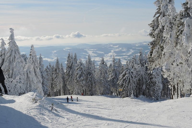 Skiabfahrten mit herrlichen Fernblick, familienfreundliche Preise für Skilifte.
