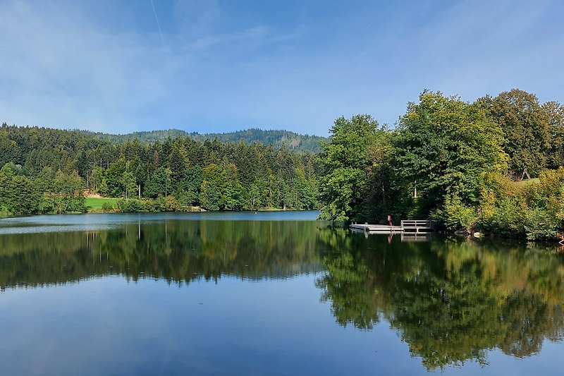 Natursee Rundwanderung, Baden, Badestege, Badeinsel, Spielplatz, Niederseilgarten, Beachvolleyball, Umkleiden, WC