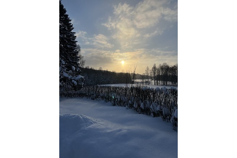Winterlandschaft mit verschneiten Bäumen und Sonnenuntergang.