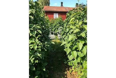 Haus am See "Sköttens"