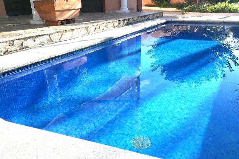 Schwimmbecken mit blauem Wasser, umgeben von Pflanzen und Holz.