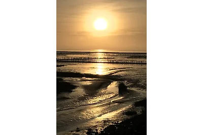 Nordseeliebe Friedrichskoog
