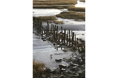 Nordseeliebe Friedrichskoog