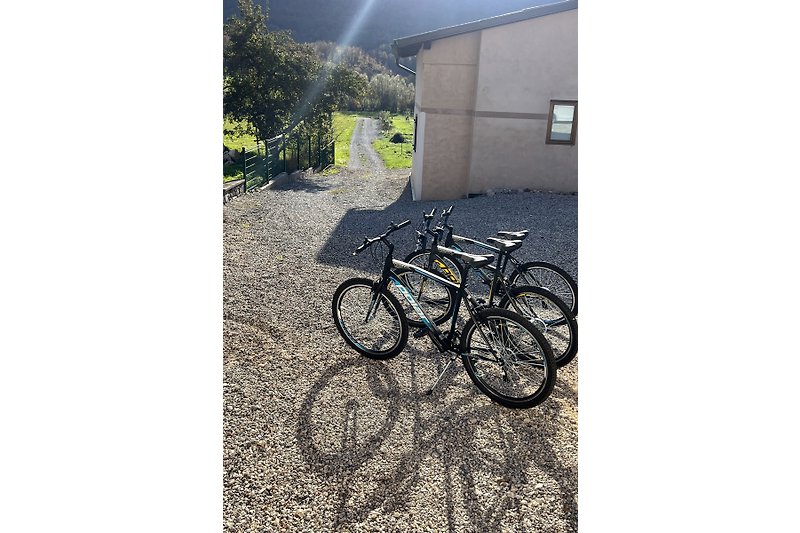 Bicikli, kotači, gume i oprema za bicikle ispred zida.