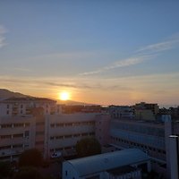 Frau L. Appert Frau L. Appert