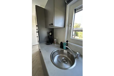 Julianahoeve´s Duif 267