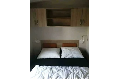 Julianahoeve's Duif 224