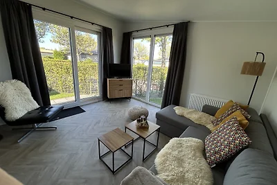 Julianahoeve´s Duif 267