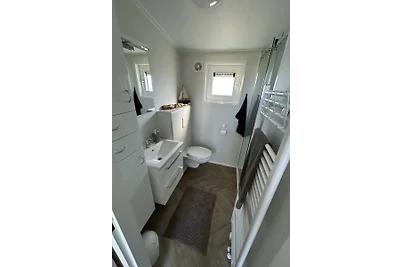 Julianahoeve´s Duif 267