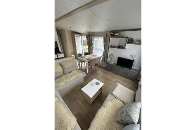 Julianahoeve´s Duif 267