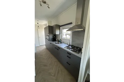 Julianahoeve´s Duif 267