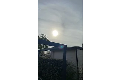 Julianahoeves Merel 45