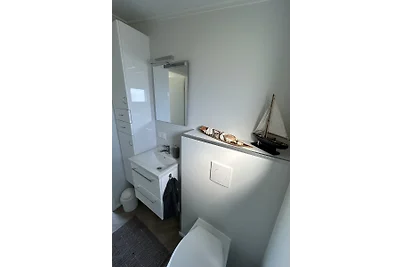 Julianahoeve´s Duif 267