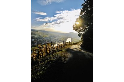 Ferienwohnung im Herzen von Kues