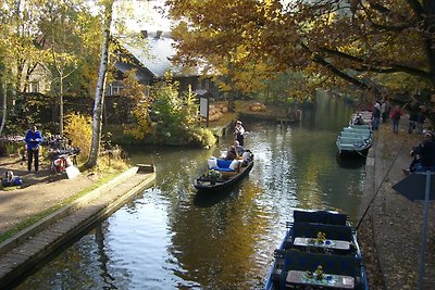 Spreewald Ferienhaus Stein Lübbenau