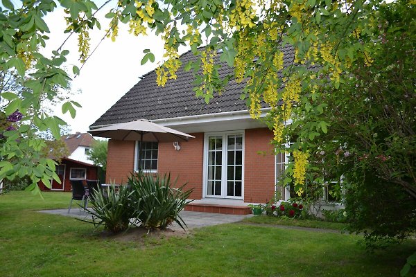 Ferienhaus Wiking Haus Terrasse und Garten in Binz ab 132 € direkt bei