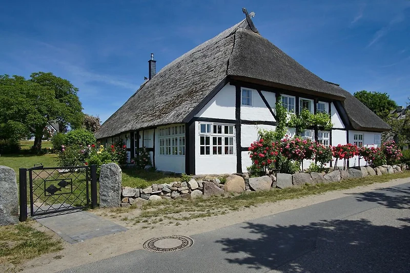 Hauptansicht