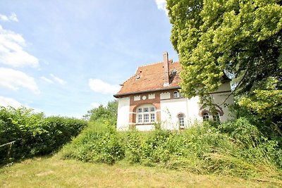 Villa Hermine Haus: Terrasse, Garten,...