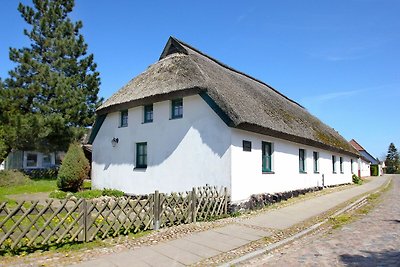 Ferienhaus Storchennest Haus L: Terrasse,...