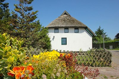 Ferienhaus Storchennest Haus L: Terrasse,...