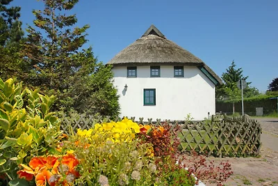 Casa vacanze Vacanza di relax Mursewiek