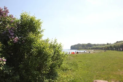 Haus Boddenresidenz Haus 1: Sauna,...