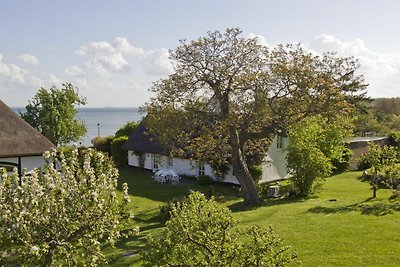 Gutshof Ostseeblick FeWo2: Terr.