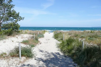Haus Breeghus FeWo Boddenkoje: Terrasse