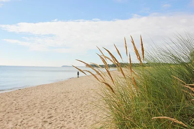 Villa Käthe FeWo 04: Terrasse, Sauna,...