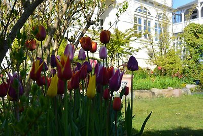 Villa mit Sonnenhof FeWo Gartenzauber: ruhige...