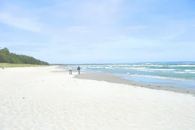 Ferienwohnung Neptun FeWo 01: Terrasse,...