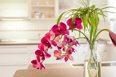 Haus Meeresrauschen Haus: strandnah, Kamin,...