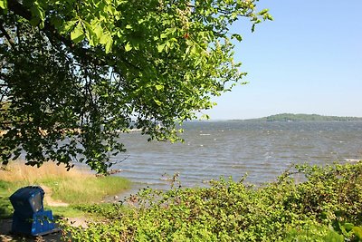 Vakantieappartement Gezinsvakantie Bergen auf Rügen