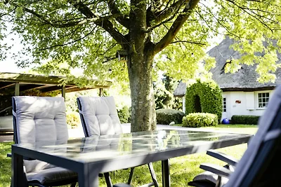 Landhaus Wildrose FeWo EG: Terrasse, ruhige...