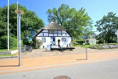 Villa mit Sonnenhof FeWo Netzboden: ruhige...