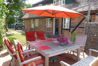 Haus Ruge Haus: Garten, Kamin, Sauna