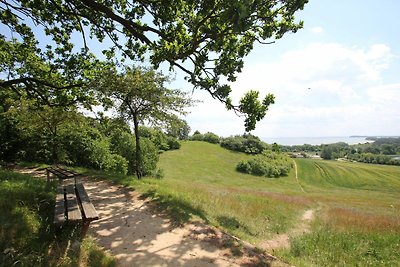 Villa mit Sonnenhof FeWo Netzboden: ruhige...