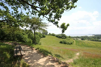 Villa mit Sonnenhof FeWo Netzboden: ruhige...