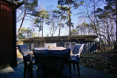 Dünenchalet 49 Chalet: strandnah, Terrasse