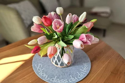 Rex Rugia FeWo12-5:...