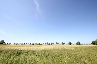 Vakantiehuis Ontspannende vakantie Mursewiek