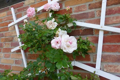 Haus Ruge Haus: Garten, Kamin, Sauna