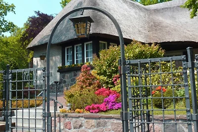 Landhaus Wilkens Reetblick: Dachgeschoss,...