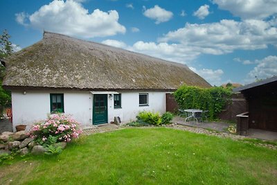 Ferienhaus Storchennest Haus R: Terrasse,...